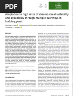 Adaptation To High Rates of Chromosomal Instability and Aneuploidy Through Multiple Pathways in Budding Yeast