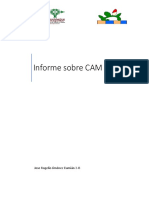 Informe Sobre CAM