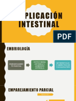 Duplicación Intestinal