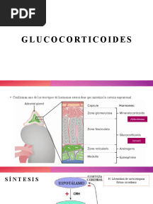 Glucocorticoides