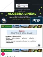 Matrices - Determinantes - Sel - Portafolio Nro 7