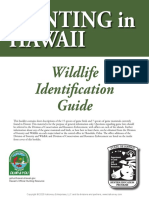 Wildlife Id Guide