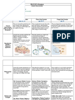 Protists Review WS