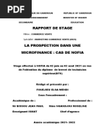 Rapport de Stage Wendi BTS