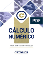 Cálculo Numérico