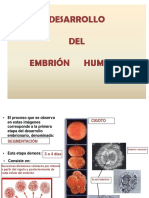 Desarrollo Embrionario 1