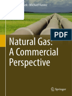 Natural Gas A Commercial Perspective (Andrej Pustišek, Michael Karasz (Auth.) ) (Z-Library)