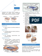 HIDROCEFALIA