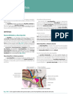 Latarjet - Ruiz Liard Anatomia Humana 5a Edicion T2-779-785