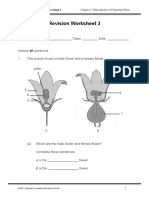 MC Science - Revision WS - Stage 5 - C03