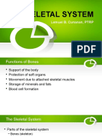 Lesson 2 Skeletal System