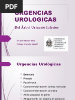 Urgencias Urologicas DR Morales