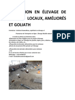 Formation Poulet