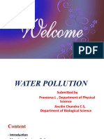 Water Pollution 