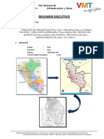 2.2 Resumen Ejecutivo SF