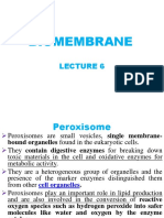 BIOC 315 - Lecture - 6