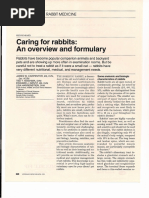 Caring For Rabbits 1995