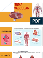 Sistema Cardiovascular I