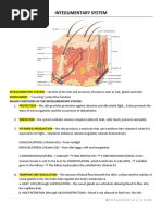 Integumentary System