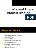 Mammals and Their Classification