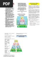 Triptico de Vida Saludable 2