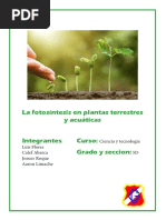 La Fotosíntesis en Plantas Terrestres y Acuáticas Integrantes Curso: Grado y Seccion