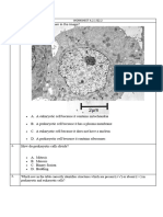 Worksheet Ib HL - Chapter A2.1& 2.2