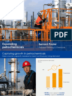 Expanding Petrochemicals