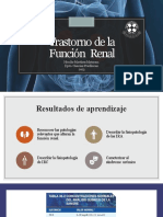 Insuficiencia Renal