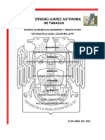 Armadura Correccion Acero