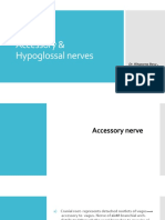 Accessory, Hypoglossal Nerves