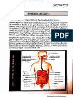 4to Rote Histologia