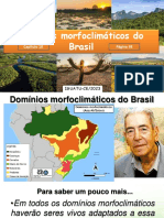 Capítulo 10-Domínios Morfoclimáticos