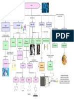 Organización Genómica