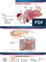 Fisiopatología de La Pancreatitis Aguda