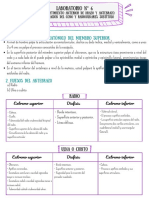 Laboratorio 6 Macro