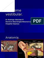 Síndrome Vestibular