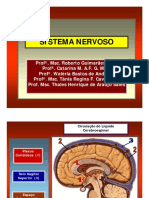 DIENCÉFALO - Aula - Neuro