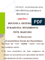 Apresentação BS Do 2 Grupo Myxobionta - PPTX 2023