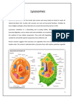 Lysosomes