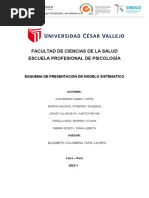 Esquema de Presentación de Caso Modelo Sistemico