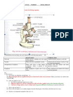 Grade Nine Biology Cell Answersheet