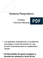 Sistema Respiratorio