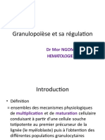 Granulopoïèse Et Sa Régulation