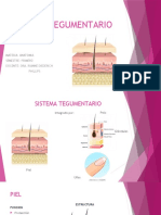 Tema #1 - SISTEMA TEGUMENTARIO