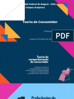 Slides Completo Preferencias e Restrição Orçamentária