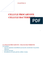 3 Chap 2 Cellule Procaryote PR