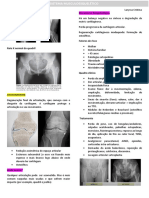 (Imagem) 8 - Sistema Musculoesquelético