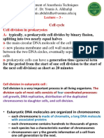 Cell Cycle