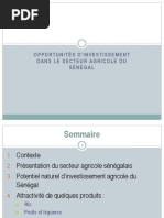 Opportunités Dinvestissement Dans Le Secteur Agricole Du Sénégal